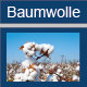 Baumwolle Icon